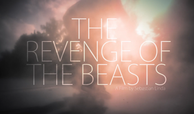 Revenge Of The Beasts – Sebastian Linda