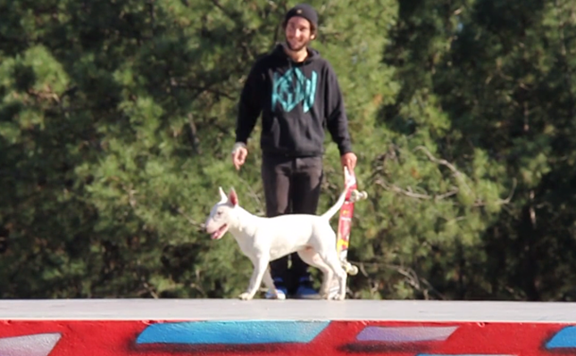 Filipe Cordeiro – Ashbury