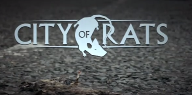 Slam City Skates – City Of Rats