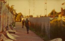 TBS Light Leak 950×534