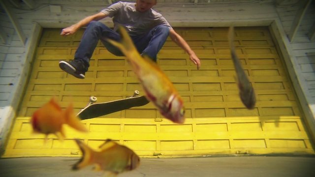 Russel Houghten – Fisheye