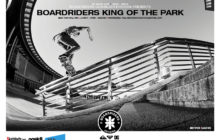 King Of The Park – Web