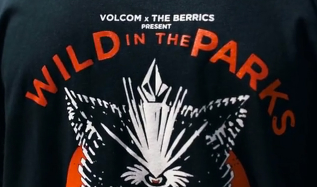 SURGE Vídeo Volcom Wild In The Parks 2015