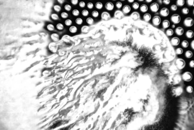 Element  –  Zygote
