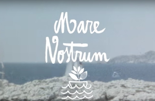 Magenta Skateboards – Mare Nostrum