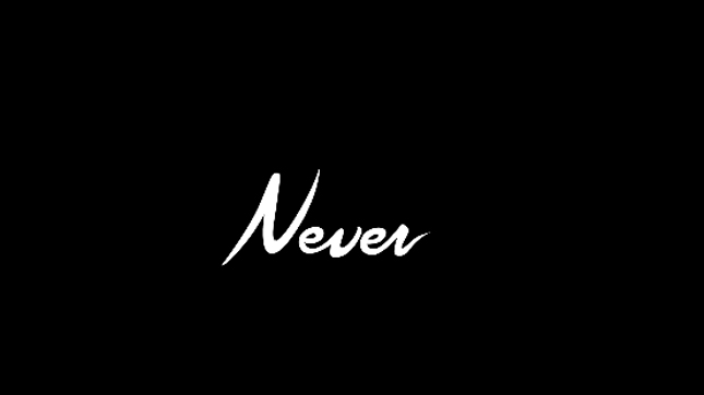 Primitive Skate  – Never