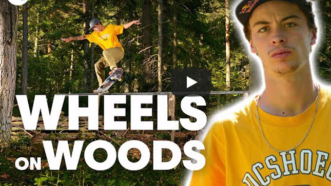 Red Bull Skateboarding – Ryan Decenzo, Gustavo Ribeiro And Friends – Skate Na Floresta